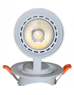 DRISHYAA 10 Watt Led Track Light.