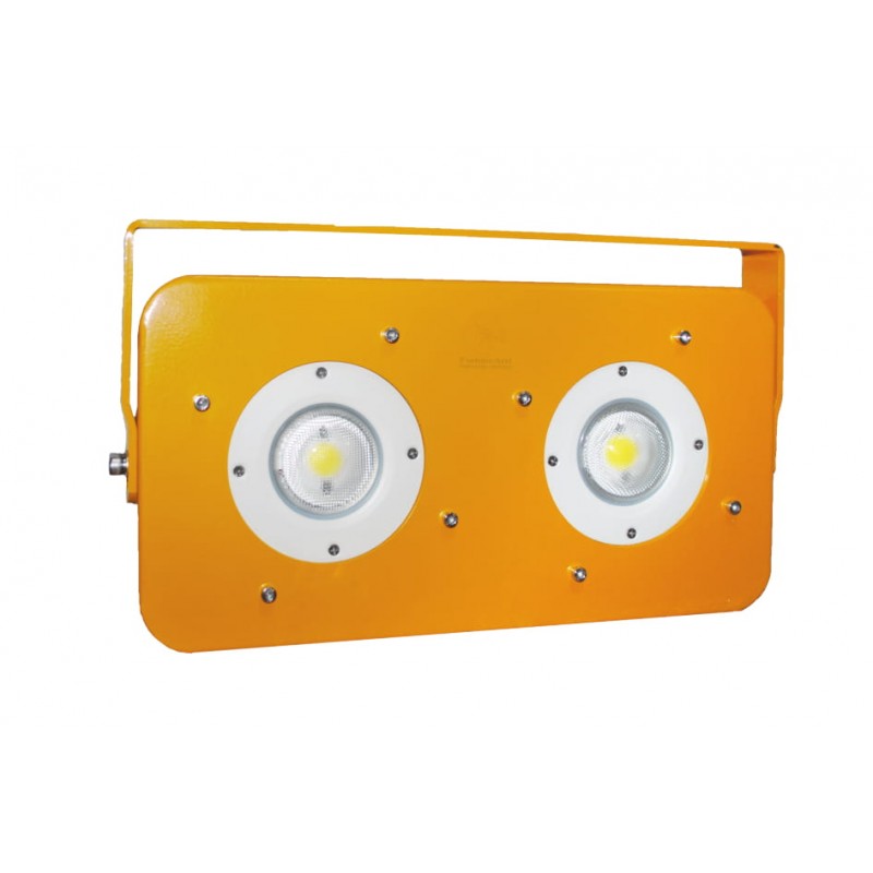 DRISHYAA 60watt LED FLP Flood Lights