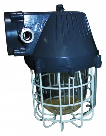 DRISHYAA 30Watt Flame Proof Light