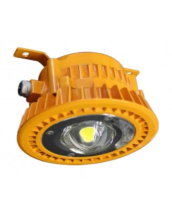 DRISHYAA 30 WATT LED Flame Proof Light